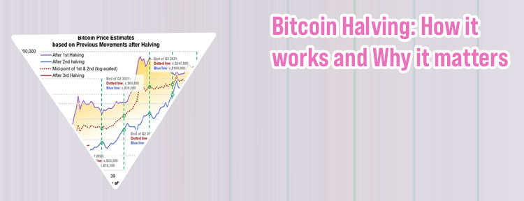 Bitcoin cycles explained