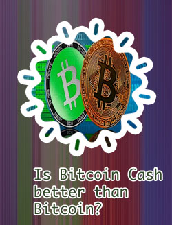 Bitcoin or bitcoin cash