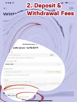 Cryptocom withdrawal fee