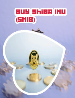 How to buy shiba inu on cryptocom