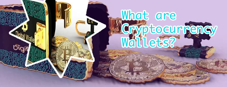 What is a bitcoin wallet
