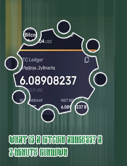 What is a btc wallet