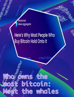 Who holds all the bitcoin